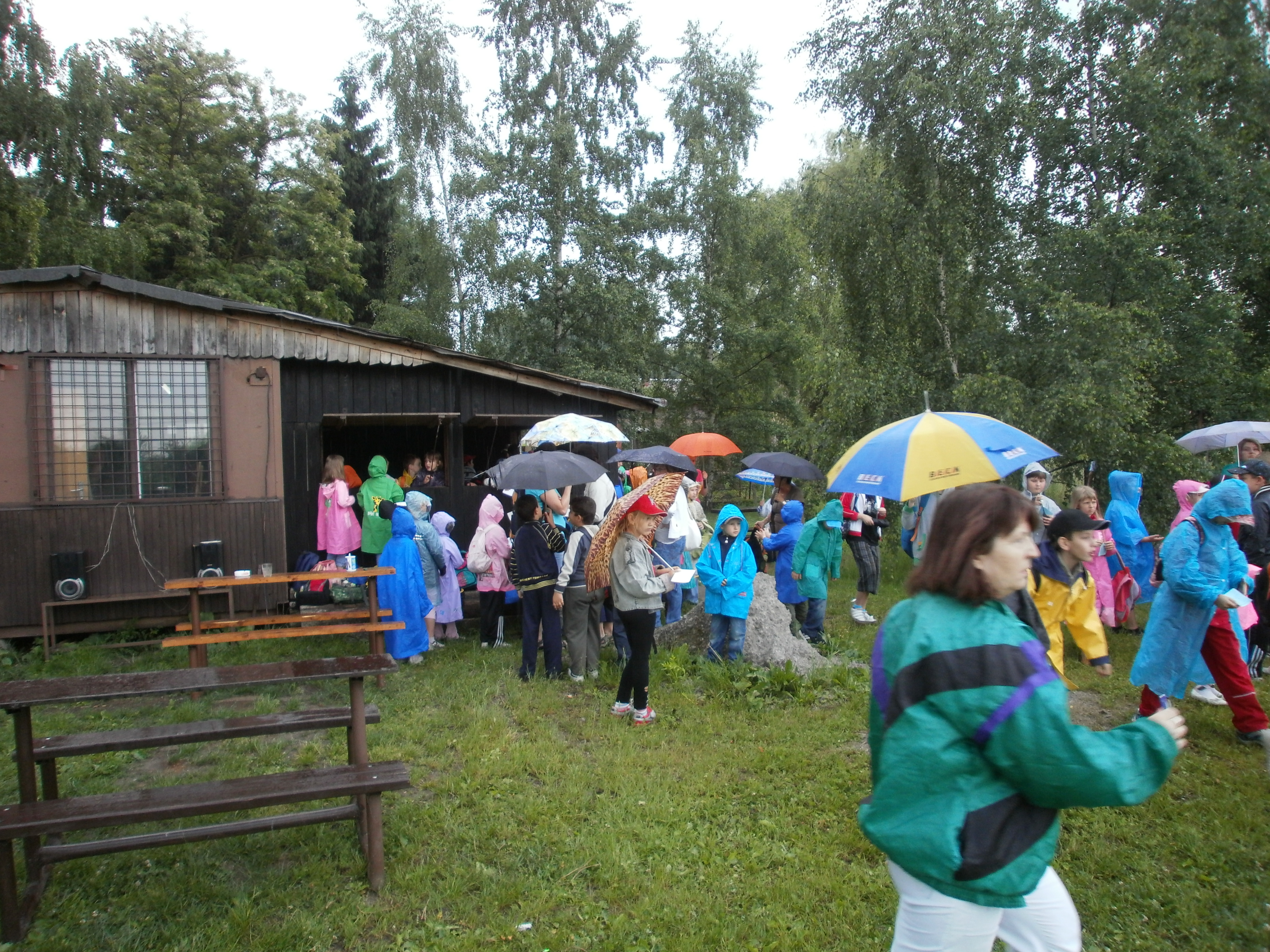 P6010012