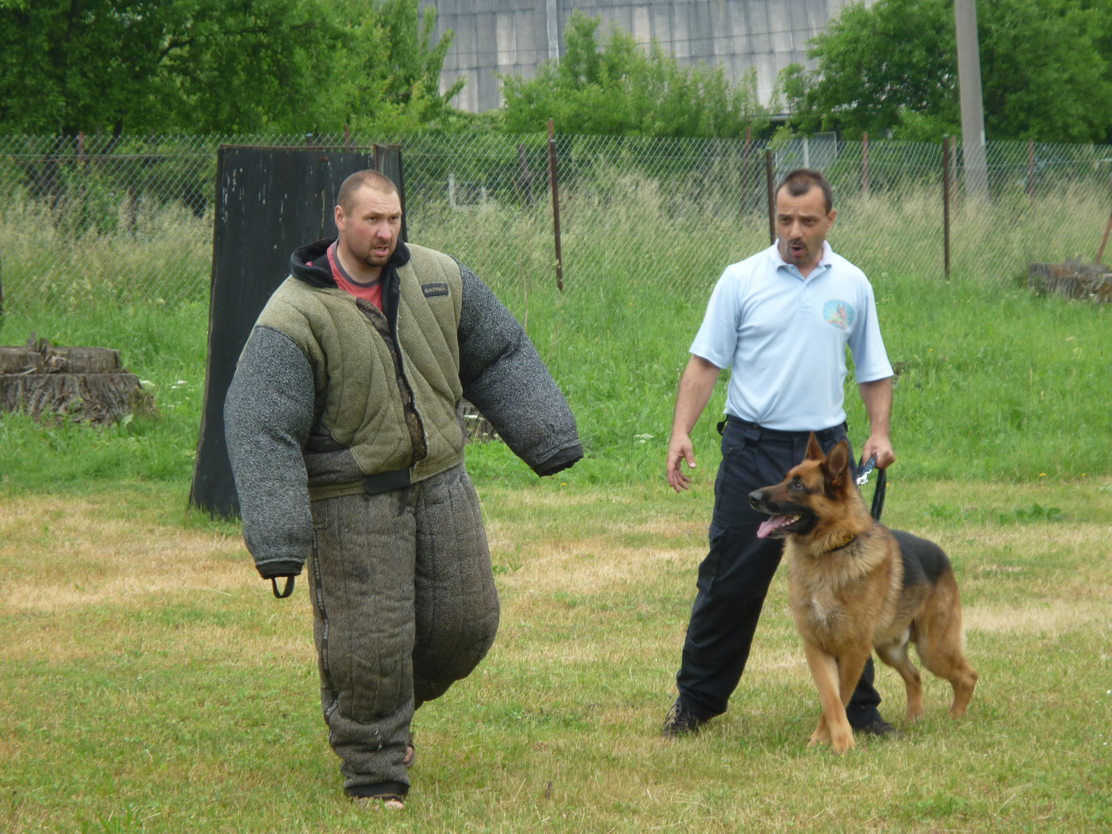 P1010043